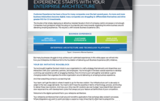 Enterprise Architecture