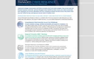 Cyber Resilience